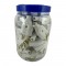 PINO MACHO FAME CZA 10A POTE C/50 2993 POTE 1