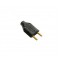 PINO MACHO FAME PTO 20A 2141 PC 1