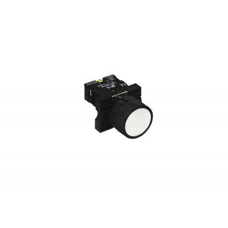 BT COM.JNG 22,5MM LUMINOSO LAY5 BW316_ BC PC 1