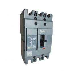DISJ CX MOLD SCHNEIDER TRIP EZC100N  60A 25KA PC 1