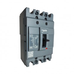 DISJ CX MOLD SCHNEIDER TRIP EZC100N 100A 25KA PC 1