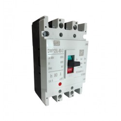 DISJ CX MOLD WEG DWP125L- 80-3 20KA PC 1