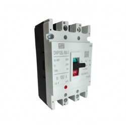 DISJ CX MOLD WEG DWP125L-100-3 20KA PC 1