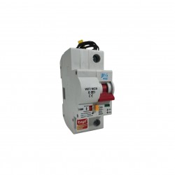 DISJUNTOR MINI WIFI JNG 01 UNIPOLAR WDZ 1P  80A CF 1