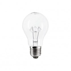 LAMP.FILAMENTO REFORCADO SADOKIN 100W X 127V CF 1