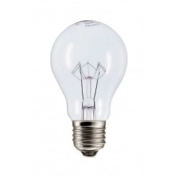 LAMP.FILAMENTO REFORCADO SADOKIN 100W X 220V CF 1