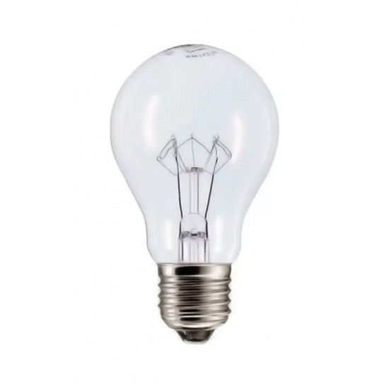 LAMP.FILAMENTO REFORCADO SADOKIN 100W X 220V CF 1