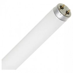LAMP.FLUOR.PHILIPS 40W T10 (25) CF 1