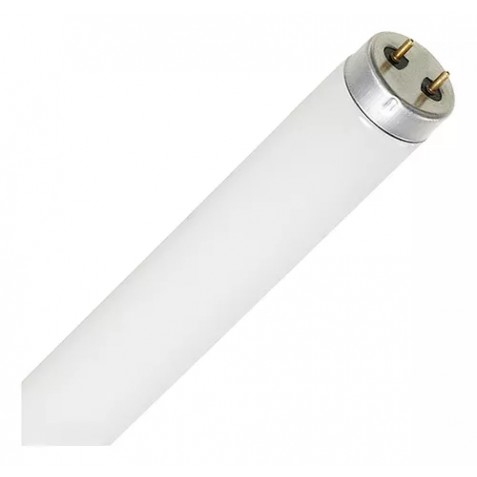 LAMP.FLUOR.PHILIPS 40W T10 (25) CF 1