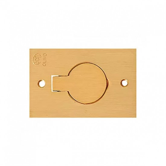 LINHA PISO OLIVO PLACA LATAO 4X2 1TOM  PC 1
