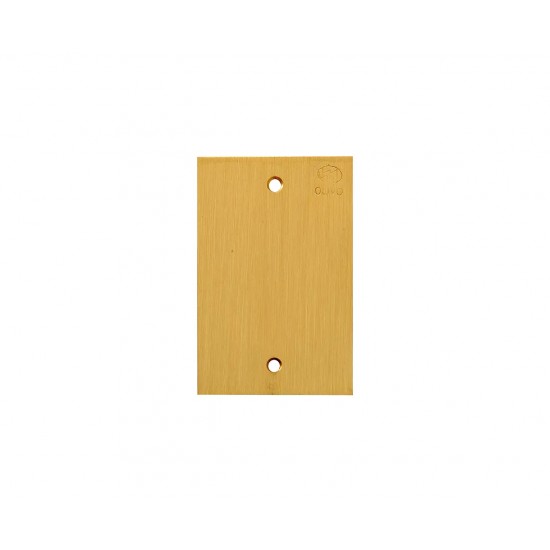 LINHA PISO OLIVO PLACA LATAO 4X2 CEGA PC 1